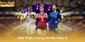 Giới Thiệu Chung Về Kèo Châu Á