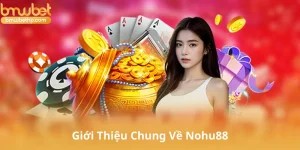 Giới Thiệu Chung Về Nohu88