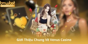 Giới Thiệu Chung Về Venus Casino