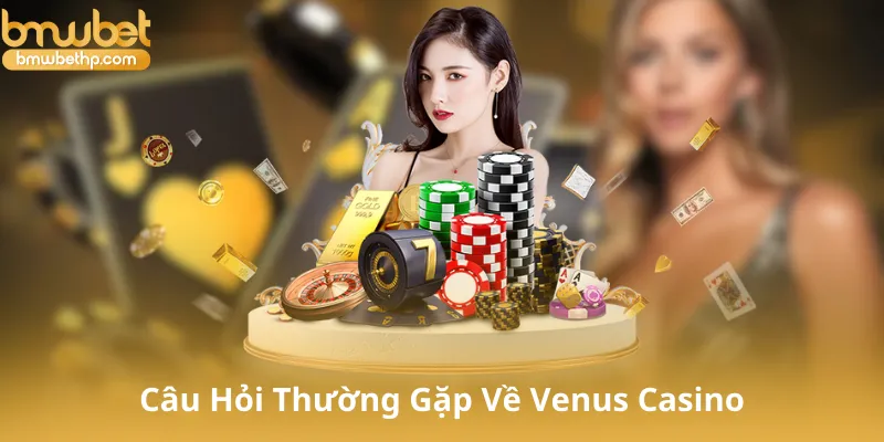 Câu Hỏi Thường Gặp Về Venus Casino (FAQ)