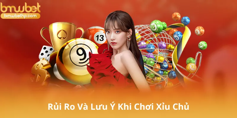 Rủi Ro Và Lưu Ý Khi Chơi Xỉu Chủ Tại BMWBet