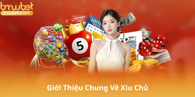 Giới Thiệu Chung Về Xíu Chủ