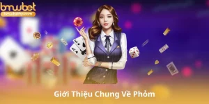 Giới Thiệu Chung Về Phỏm