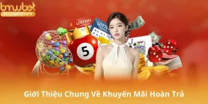 Giới Thiệu Chung Về Khuyến Mãi Hoàn Trả
