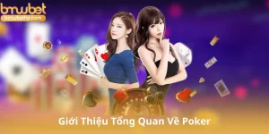 Giới Thiệu Tổng Quan Về Poker