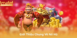 Giới Thiệu Chung Về Nổ Hũ